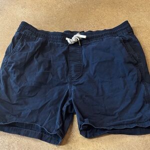 Hollister Men's Dark Blue Flat Front Shorts